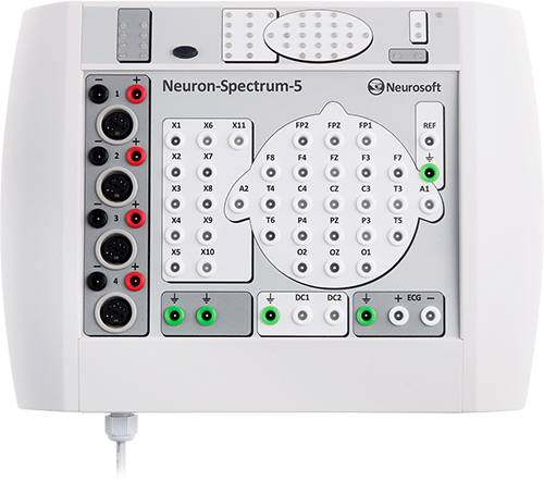 neuron spectrum5