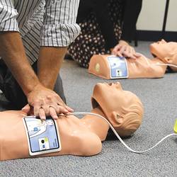 AED 3 Defibrillator - Training ( © Ulrike Kuttner)